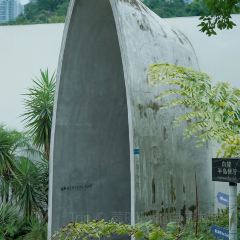 白麓半岛·泰餐厅(麓湖美食岛店) User Photo