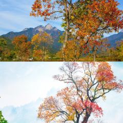 Sage Hall Homestay User Photo