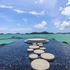 Baba nest User Photo