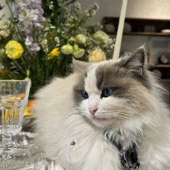 hill side User Photo