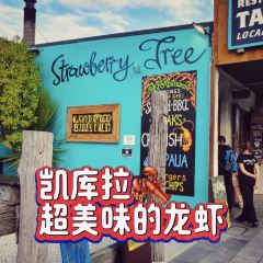 Strawberry Tree Kaikoura Ltd. 여행 사진