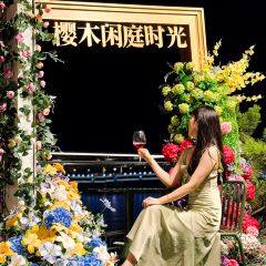 樱木千鹤日本料理·海鲜火锅·铁板烧(星海新天地店) User Photo