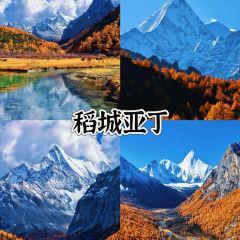 卡万金特色藏餐 User Photo