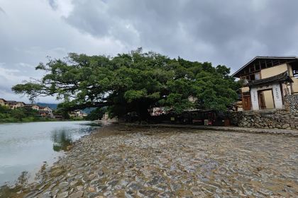 闽粤土菜馆