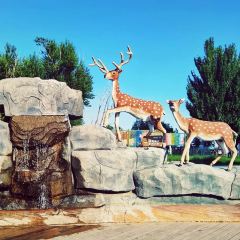 Happy Lamb Hot Pot User Photo