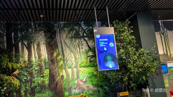 lian nan shi mo zi ran zhong xin