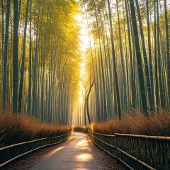 义远有机农场餐厅 User Photo