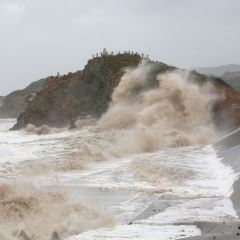 阿卡萨海景度假酒店·月夕餐厅 User Photo