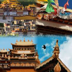 MEMORY OF QIONGZHOU·SHICHU User Photo