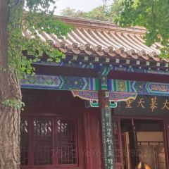 青年路·羊肉館張用戶圖片