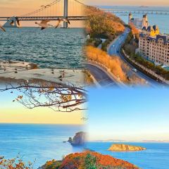 喜鼎海胆水饺(星海湾壹号店) User Photo