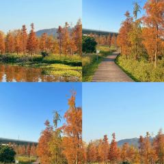 渔船海蛎煎(曾厝垵店) User Photo