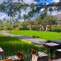 Pison Ubud User Photo