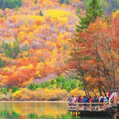 卡万金特色藏餐 User Photo