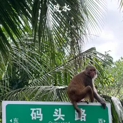 徐福记湛江烤生蚝 User Photo