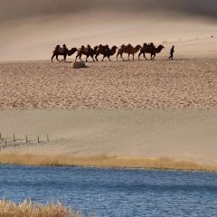 JIANG SHI SAO ZI ZHA JIANG MIAN User Photo