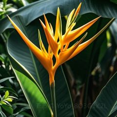 Princess Nan User Photo