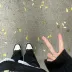 海棠乖蟹蟹