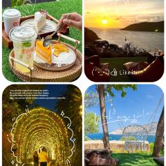 Summore Day User Photo