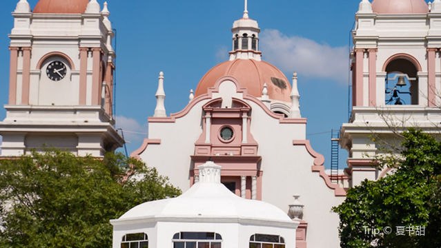 Catedral Metropolitana San Pedro Apóstol