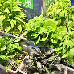 捌佰裡皖江別院張用戶圖片