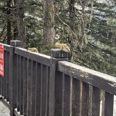 成都美食 User Photo