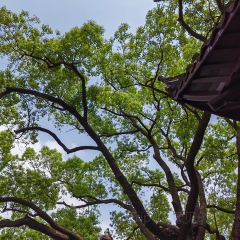 JIANGNAN Impression Chinese Restaurant User Photo