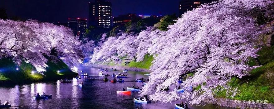 Natsui River Park