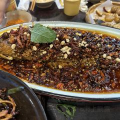 QIAN DA SHU DA PAI DANG User Photo