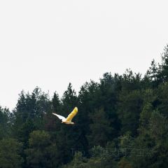 左家村休闲农庄 User Photo