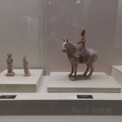 大明府 User Photo