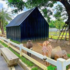 Villa at On Organic Farm User Photo
