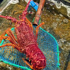 SEAFOOD BOSS User Photo