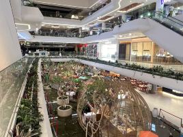 ICON BALI