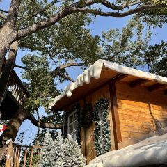 树野融合餐厅 User Photo