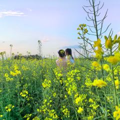 粤秀古树庄园 User Photo