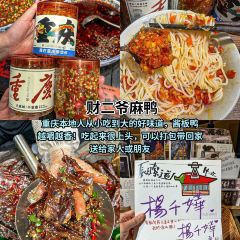 LAO ZI HAO TI HUA SHANG User Photo