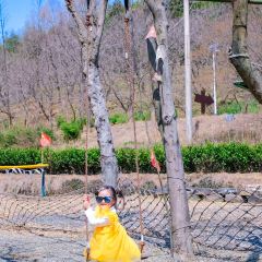 快樂家園•大魚王（南山竹海店）張用戶圖片