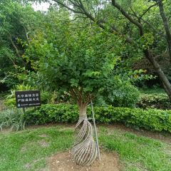 小隱圍屋張用戶圖片