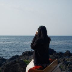 팀블로우 여행 사진