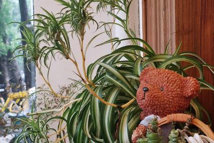 福留咖啡(荷塘路店)