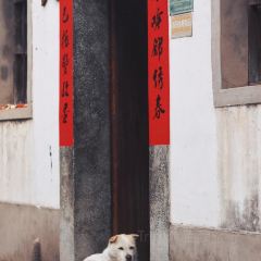 两棵树馄饨店(渔梁住保小区店) User Photo