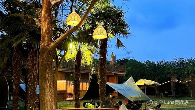 sen zhi gu lu ying di