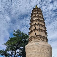 胖子鱼·鲜鱼火锅(全国总店) User Photo