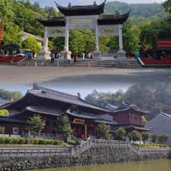 云起草堂(白云山森林公园店) User Photo