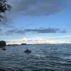 菌齐彩菇 User Photo