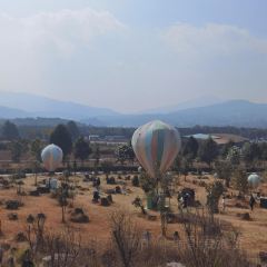 有芬餐館張用戶圖片