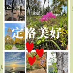 艾佳私房菜 User Photo