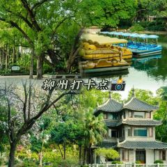 韋韋木薯羹張用戶圖片