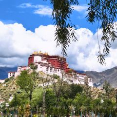 天空之镜休闲观景餐吧 User Photo